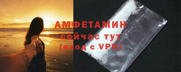 твердый Дмитровск