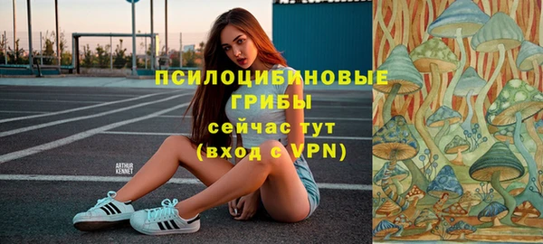 spice Мегион