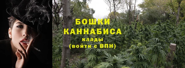 spice Мегион