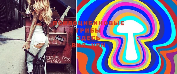 метадон Медвежьегорск